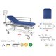 C3701 - ELECTRIC / HYDRAULIC TABLES - Ecopostural