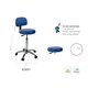 S3651 - STOOLS / CHAIRS - Ecopostural