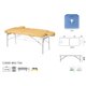 C3908 - PORTABLE TABLES - Ecopostural